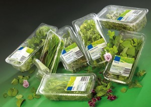 Embalagem frutas verduras legumes prazo de validade